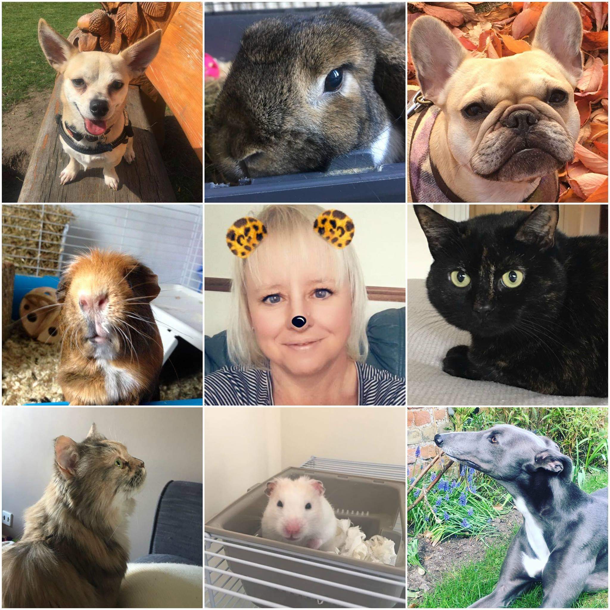 Essex Pet Sitting Services Business Love Coggeshall