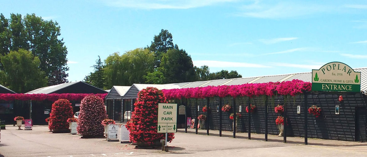 Poplar Nurseries Ltd Business Love Coggeshall